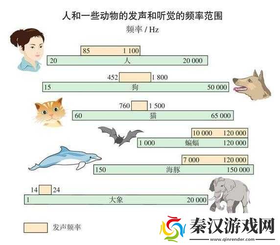 人和物动物交互在钱中的作用